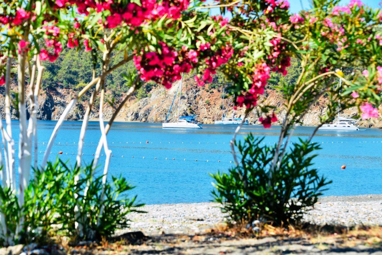 Santana Gocek Villa Gocek  Luaran gambar